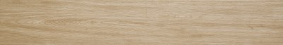 東億進口西班牙TANZANIA木紋磚蜜棕色20X120